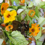 Salade met eetbare bloemen ©CocoOltra